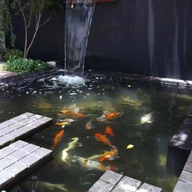 Tổng hợp- Tee Cafe - Cafe Sắc Màu