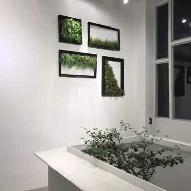 Tổng hợp- Tee's Coffee