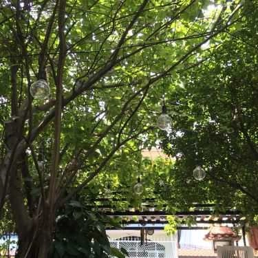 Không gian- Thanh Trà Cafe Sân Vườn