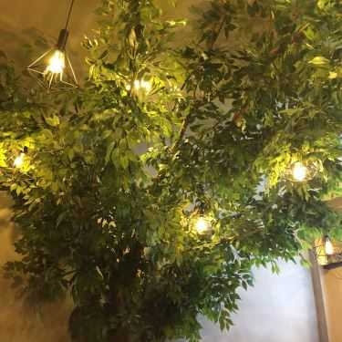 Tổng hợp- Cafe The Alley - Trà Sữa Đài Loan - Hồ Tùng Mậu