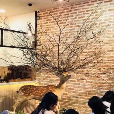 Tổng hợp- Cafe The Alley - Trà Sữa Đài Loan - Phan Xích Long