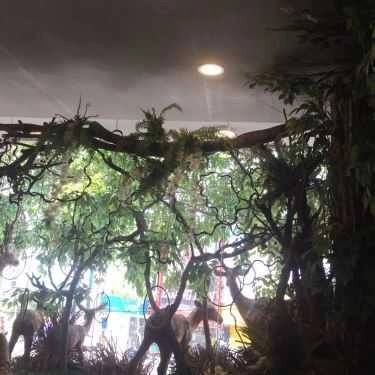 Tổng hợp- Cafe The Alley - Trà Sữa Đài Loan - Quang Trung
