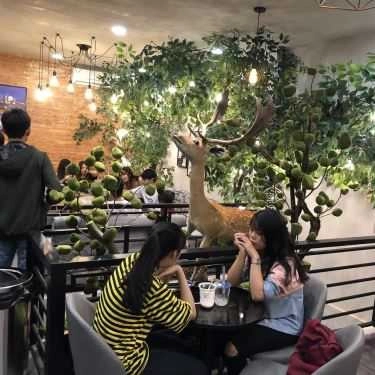 Tổng hợp- Cafe The Alley - Trà Sữa Đài Loan - Võ Văn Ngân