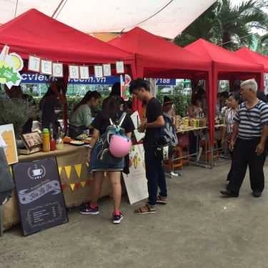 Tổng hợp- The Box Market