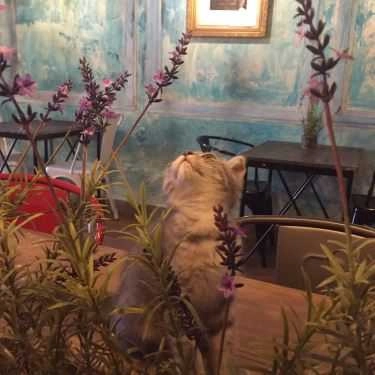 Tổng hợp- The Chai Cafe - Nguyễn Văn Đậu