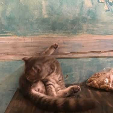 Tổng hợp- The Chai Cafe - Nguyễn Văn Đậu