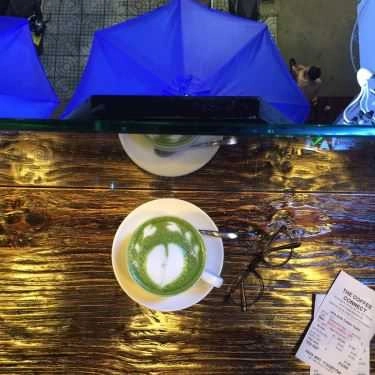 Tổng hợp- The Coffee Connect