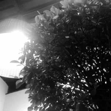Tổng hợp- The Coffee House - Điện Biên Phủ