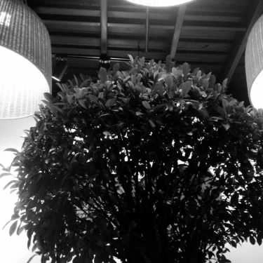 Tổng hợp- The Coffee House - Điện Biên Phủ