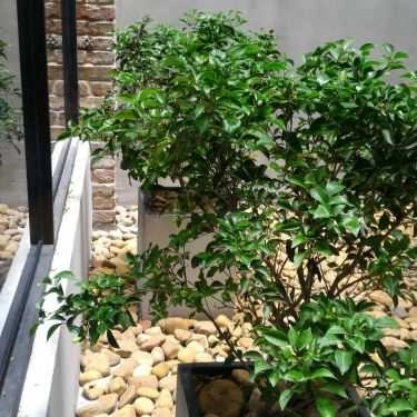 Tổng hợp- The Coffee House - Điện Biên Phủ