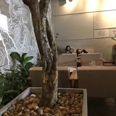 Tổng hợp- The Coffee House - Huỳnh Tấn Phát