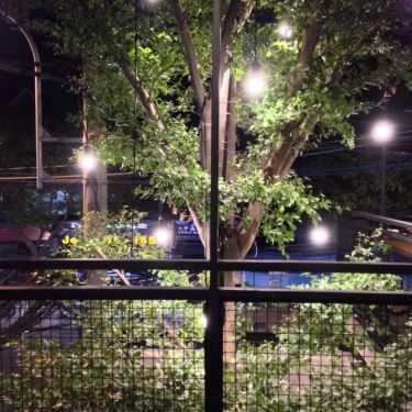 Tổng hợp- The Coffee House - Lê Văn Sỹ