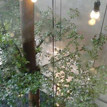 Tổng hợp- The Coffee House - Quang Trung