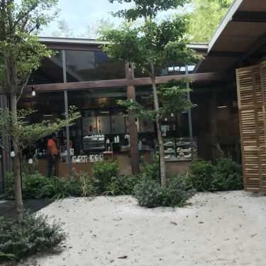 Tổng hợp- The Coffee House - Xuân Thủy