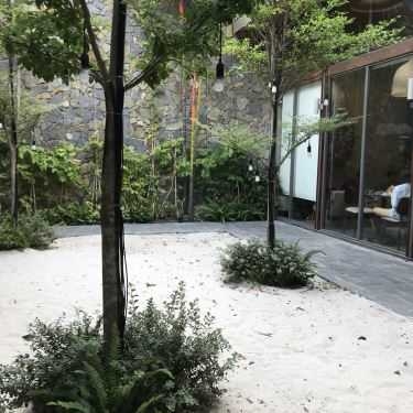 Tổng hợp- The Coffee House - Xuân Thủy