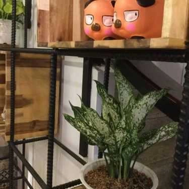 Tổng hợp- Ăn vặt Thế Giới Tàu Hũ - Hoàng Hoa Thám