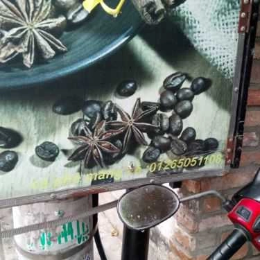 Tổng hợp- The Glimmer's Coffee