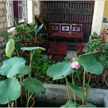 Tổng hợp- The Homes - Cafe Và Nước Dân Gian - Bình Thạnh