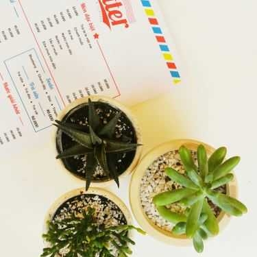 Tổng hợp- The Letter - Cafe & Gà Hàn Quốc