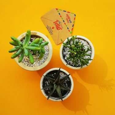 Tổng hợp- The Letter - Cafe & Gà Hàn Quốc