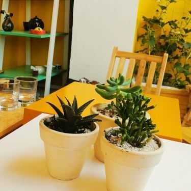 Tổng hợp- The Letter - Cafe & Gà Hàn Quốc