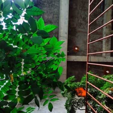 Tổng hợp- The Lib Coffee & Books