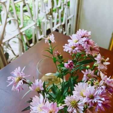 Tổng hợp- The Lib Coffee & Books
