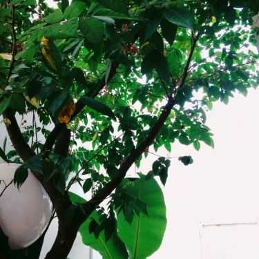 Tổng hợp- The Lib Coffee & Books