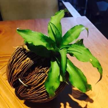 Tổng hợp- The Maker Concept Cafe