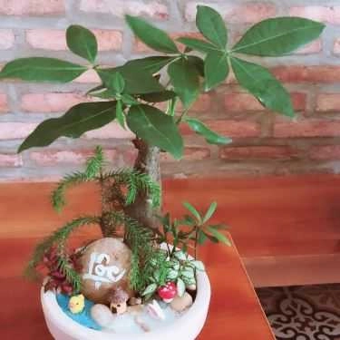 Tổng hợp- The Ngon Coffee - Bùi Đình Tuý