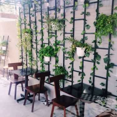 Tổng hợp- The Plant Coffee
