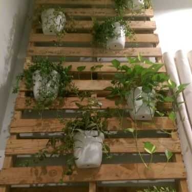 Tổng hợp- The Plant Coffee