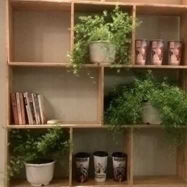 Tổng hợp- The Plant Coffee