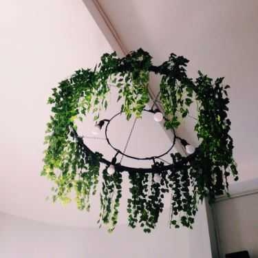 Tổng hợp- The Plant Coffee