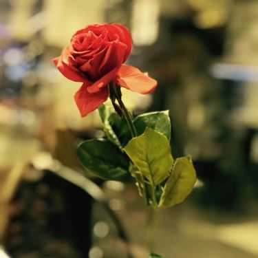 Tổng hợp- The Sweet Restaurant & Coffee