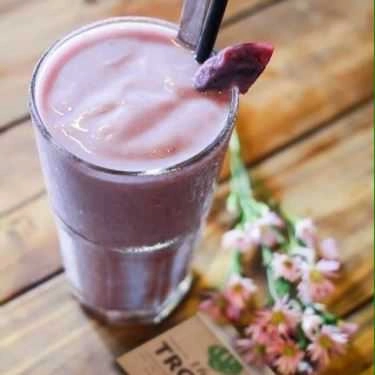 Tổng hợp- The Tropic Coffee