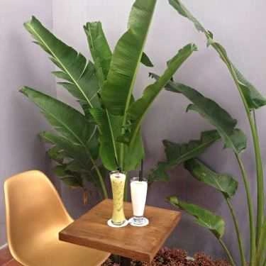 Tổng hợp- The Vow Coffee
