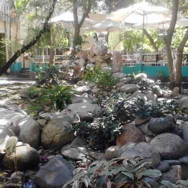 Tổng hợp- Thềm Xanh Cafe