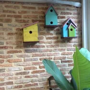 Tổng hợp- Thềm Xanh Cafe