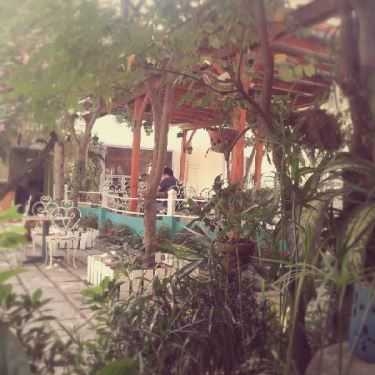 Tổng hợp- Thềm Xanh Cafe