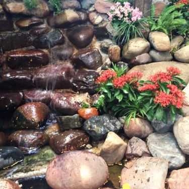 Tổng hợp- Thềm Xưa Cafe - Nguyễn Cảnh Chân