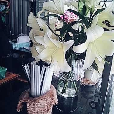 Tổng hợp- Thị Coffee