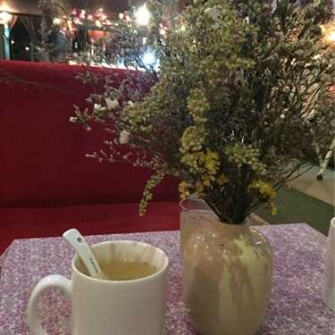 Tổng hợp- Thị Fi Cafe - Tôn Thất Đạm