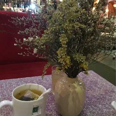 Tổng hợp- Thị Fi Cafe - Tôn Thất Đạm