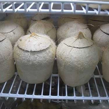 Món ăn- Cafe Thị Nghè Quán - Sinh Tố & Trái Cây Dĩa