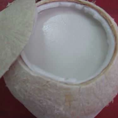 Món ăn- Cafe Thị Nghè Quán - Sinh Tố & Trái Cây Dĩa