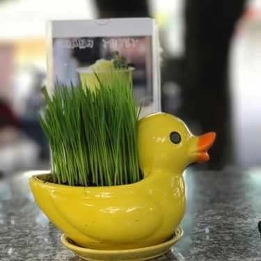 Tổng hợp- Thiên Lộc Garden Coffee