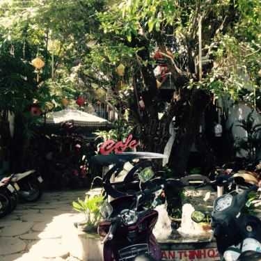 Tổng hợp- Thịnh Cafe - Cafe Sân Vườn