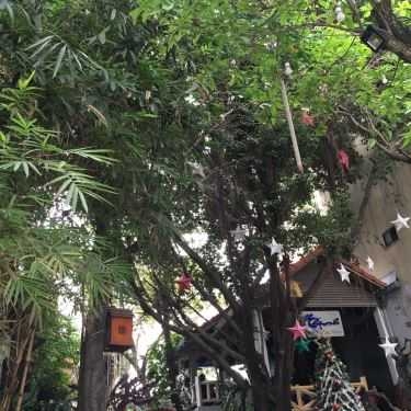 Tổng hợp- Thịnh Cafe - Cafe Sân Vườn