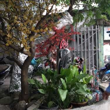 Tổng hợp- Thịnh Cafe - Cafe Sân Vườn